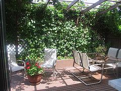 deck enclosed with climbing vines and furniture