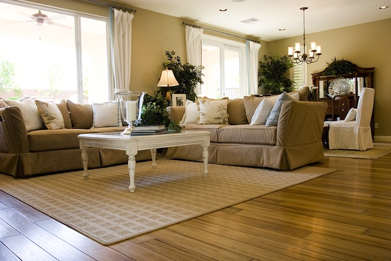 living room with wood floors and area rug